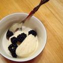 Frozen  Yogurt  Dessert Recipe